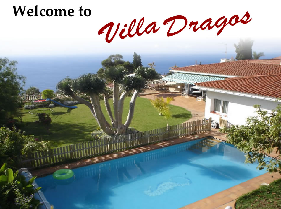 Villa Ochodragos for rent in Tenerife